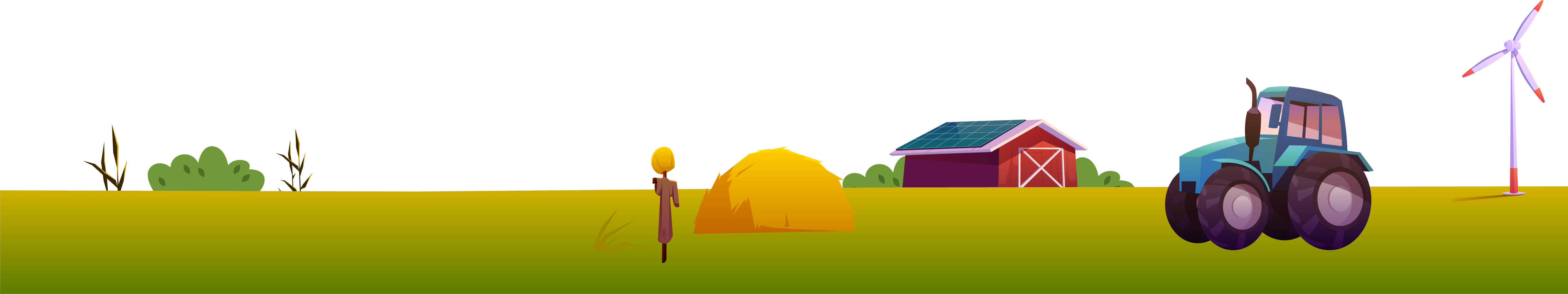 Decorative grass